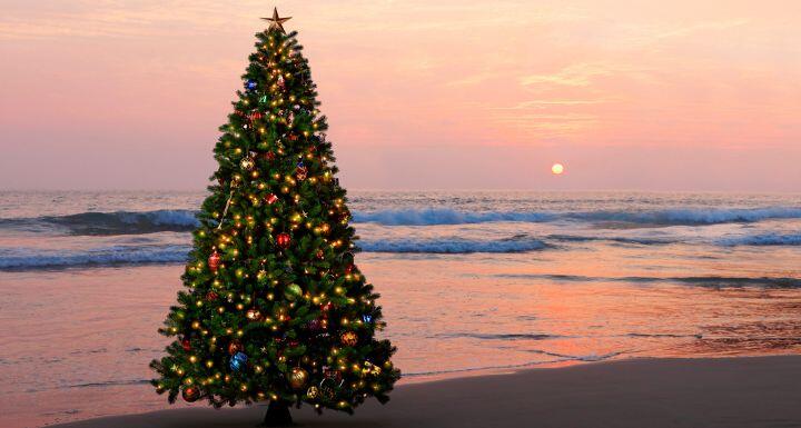 Christmas Tree On The Beach At Sunset