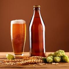 Close up beer glass, bottle, hops and barley 