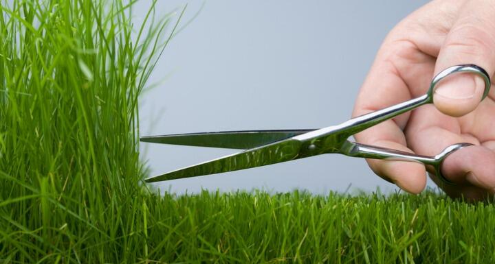 Hand cutting grass with scissors