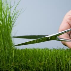 Hand cutting grass with scissors
