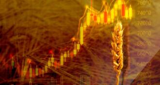 Diagram of rising food prices