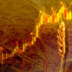 Diagram of rising food prices