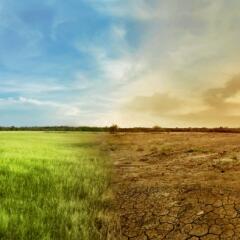 Green and plush landscape side by side with a dry and barren landscape