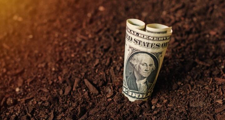 Dollar bill in brown dirt
