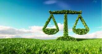 Eco friendly law, politics and eco balance concept