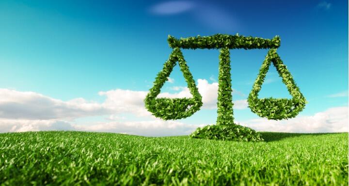 Eco friendly law, politics and eco balance concept
