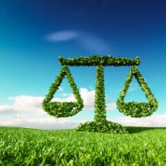 Eco friendly law, politics and eco balance concept