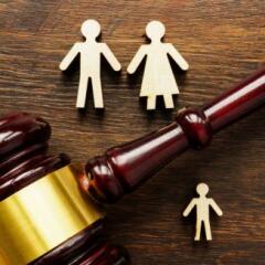 Family Figures with gavel