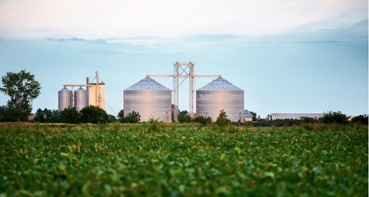 Silos for storing grain harvest