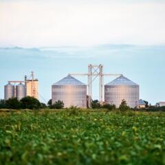 Silos for storing grain harvest