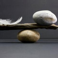 Feather and Stone balance