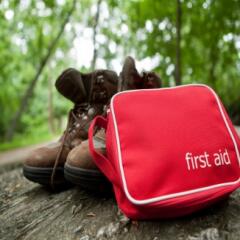 First aid kit on fallen tree trunk