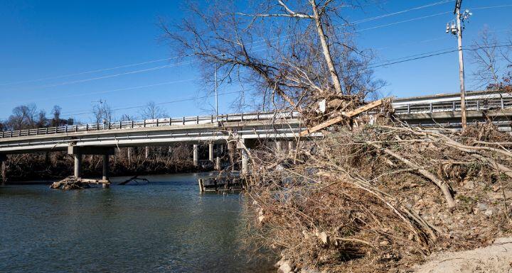 Flood debris in tree beside the French Broad River in Asheville's River Arts District