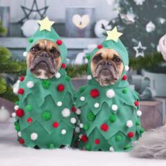 French Bulldog dogs wearing Christmas tree costumes