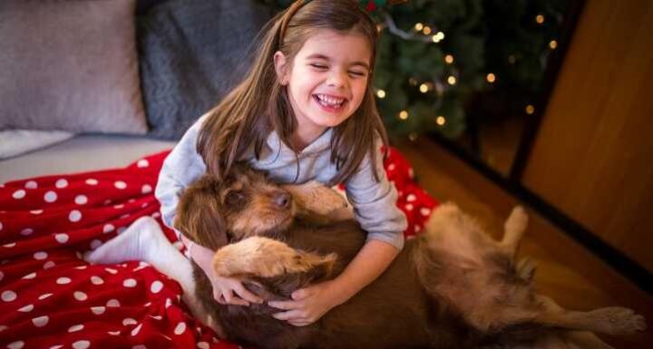 Little girl playing brown dog on Christmas morning