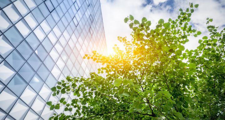 Glass Building with Tree