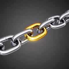 Gold link in a chain of silver links