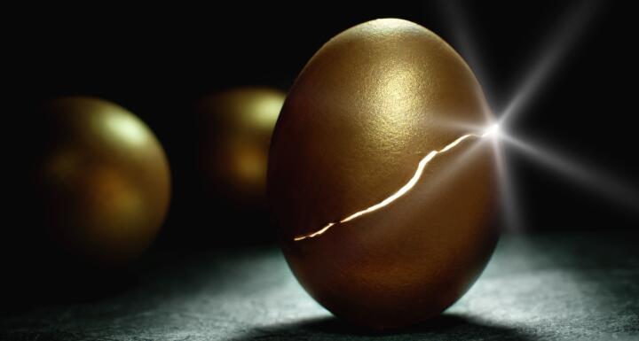 Hatching golden egg