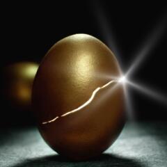 Hatching golden egg