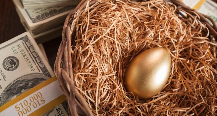 A bird's nest with a golden egg in the middle, on a background of dollar bills
