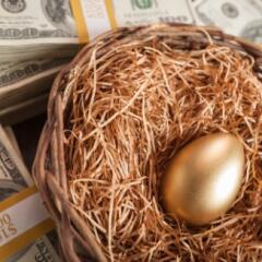 A bird's nest with a golden egg in the middle, on a background of dollar bills