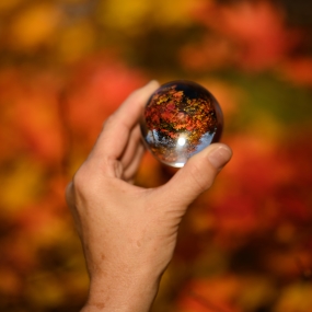 Hand Held lensball in autumn forest