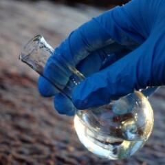Hand in glove holding water sample
