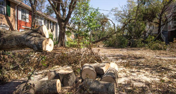 Hurricane Florence Aftermath