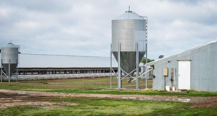 Large scale hog farm building and land