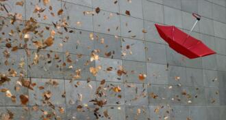 Leaves and open umbrella blowing along pavement