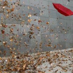 Leaves and open umbrella blowing along pavement