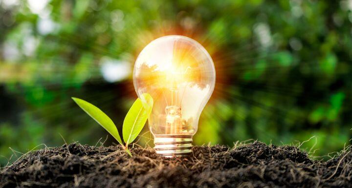 Lightbulb in dirt with plant