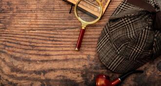 Literary fiction, investigate crime and mystery story