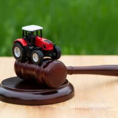 Miniature symbolic tractor and judge's gavel on a grass background