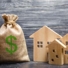 Money bag and wooded houses