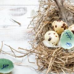 Eggs in nest with one broken eggs with countdown marks