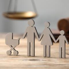 New Hanover Family Court Division