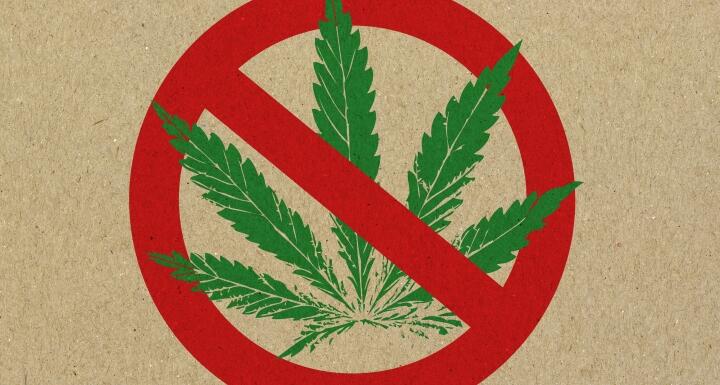 No hemp sign