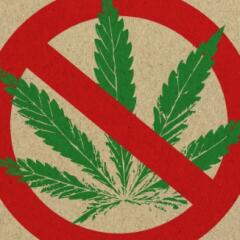 No hemp sign
