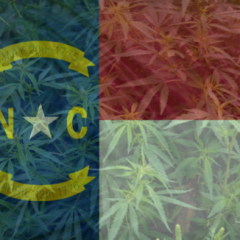 North Carolina Flag Superimposed over hemp plants