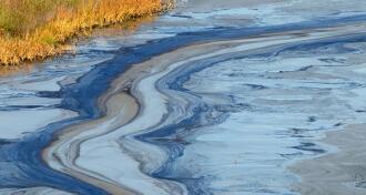 contaminated coastal water illustration for camp lejeune water contamination story