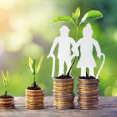 Elderly woman and elderly man looking at laptop screen