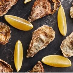 Oyster and leman slices