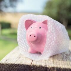 Piggy bank wrapped in bubble wrap