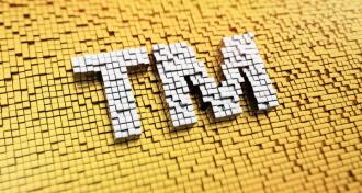 Pixelated Trademark