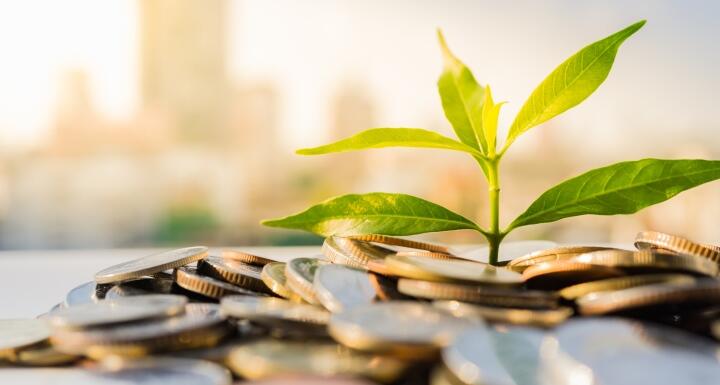 Plant on pile coins with cityscape background