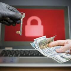  Ransomware virus has encrypted data