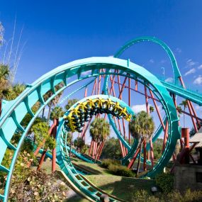 Coaster