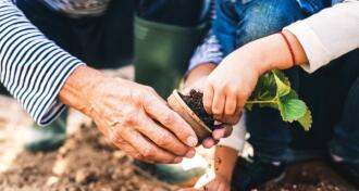 Senior man with granddaughter gardening