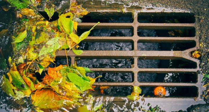 Leaves covering a sewer grate with stormwater